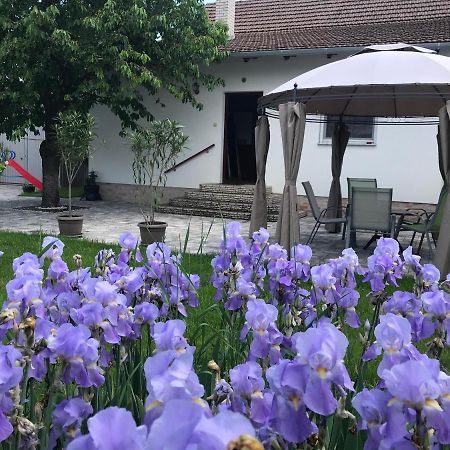 Eden Apartman Algyo Esterno foto